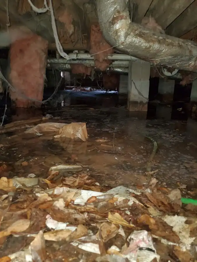 Crawl space flood assessment for Commercial Water Damage Restoration in Houma