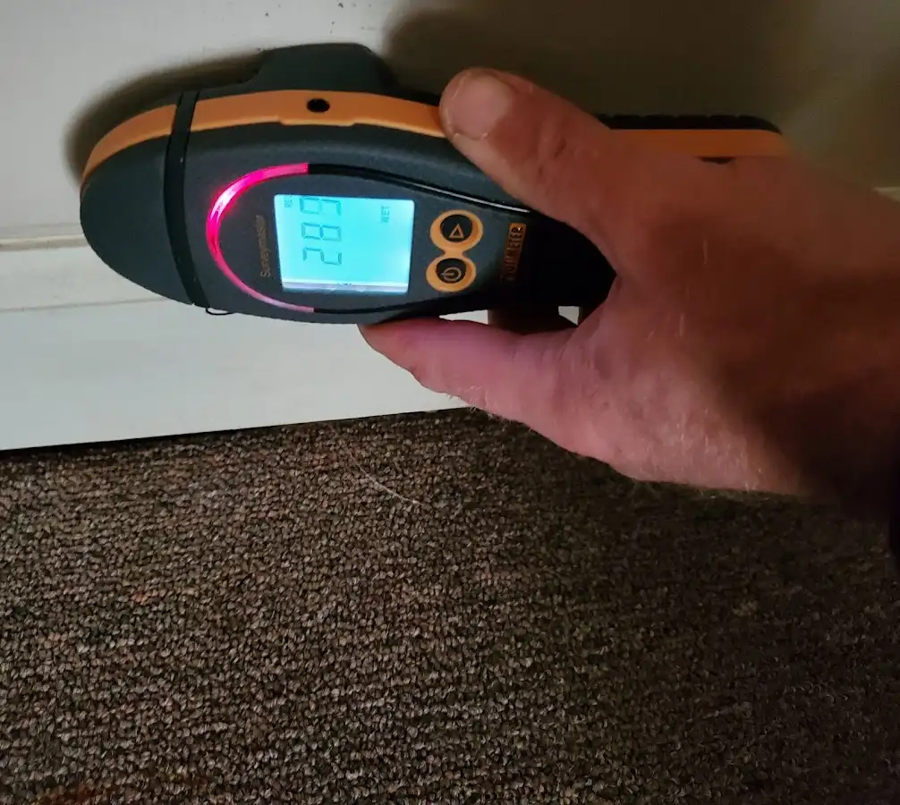 Moisture detection at baseboard during Mold Inspection & Testing in Houma